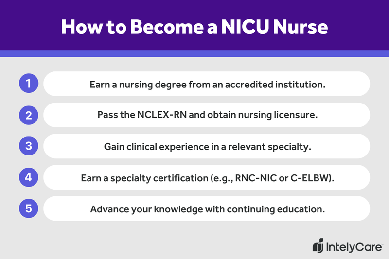 A graphic showing the 5 steps for how to become a NICU nurse.