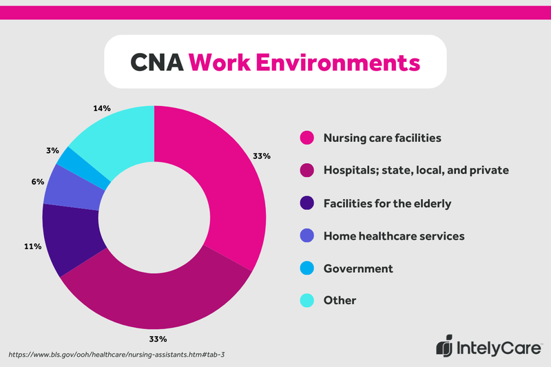 A graphic showing the top 5 CNA work environments according to BLS data.