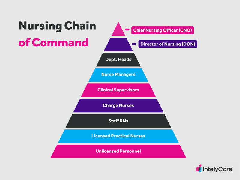 Nursing chain of command shown in a triangular chart.