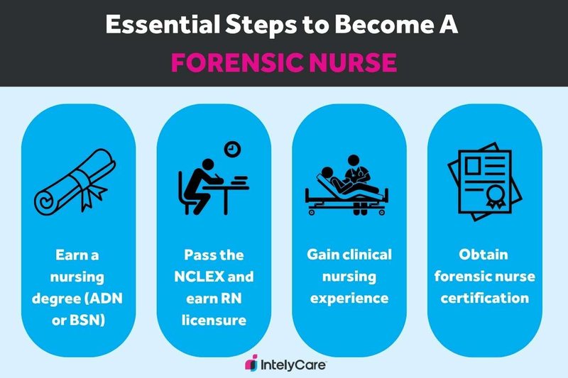 Graphic that explains the steps of how to become a forensic nurse.